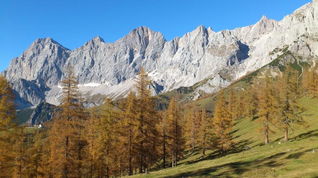 Brandstaetterhof Ξενοδοχείο Schladming Εξωτερικό φωτογραφία